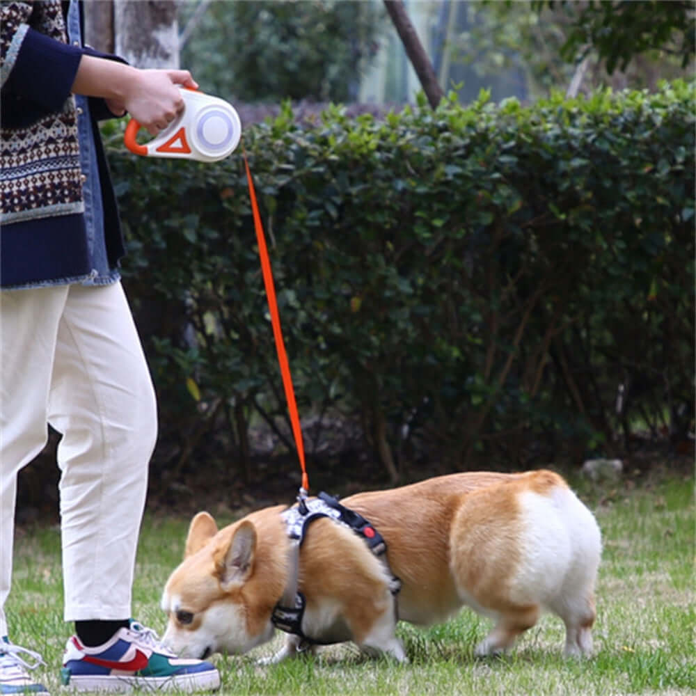 FlexiLED laisse rétractable avec LED pour chien